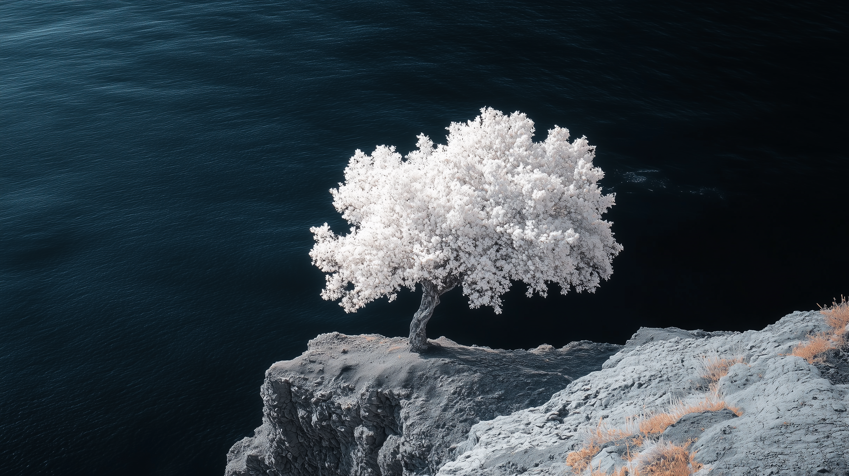 white_tree_dark_ocean.png